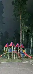 Сосновка - 8