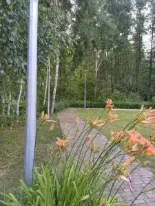 Мечта - 14