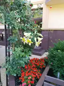 Алые Паруса - 9