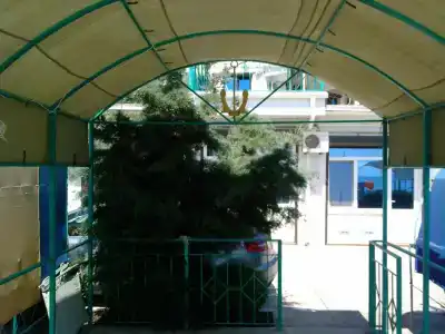 Дельфин - 37