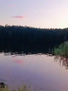 Троллейбусник - 17