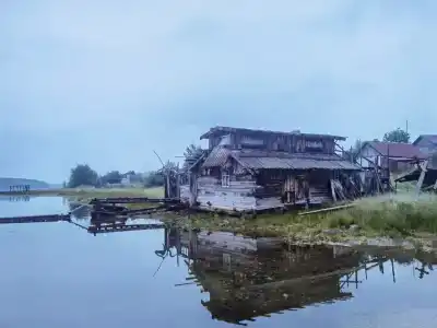 Нереис - 5