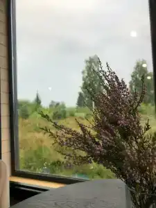 Лунный свет - 76