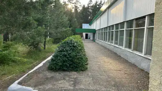 Сура - 29
