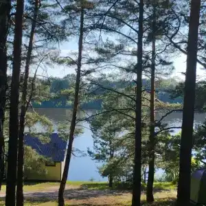 Пчелинцево - 41