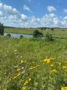 Богослово - 19