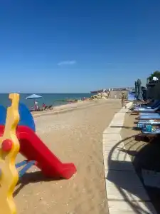 Вязовая роща - 62