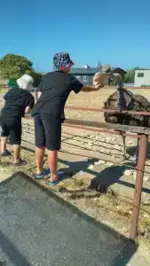 Страусиная ферма Экзотик - 77