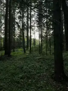 Отдых у воды - 43