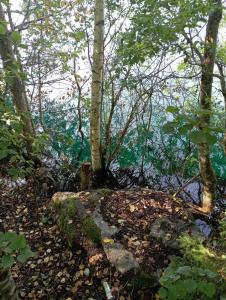 Усадьба Гирвас - 18