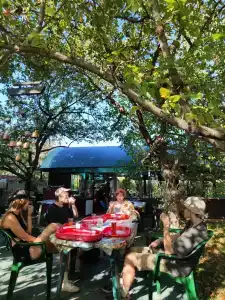 КартошКино - 27