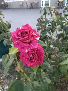 Капля моря - 64