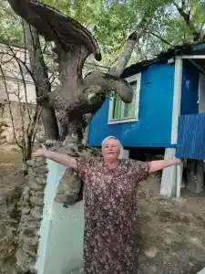 Золотое руно - 16