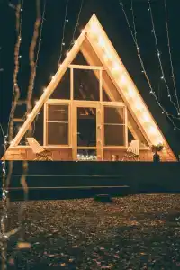 Forest story - 4