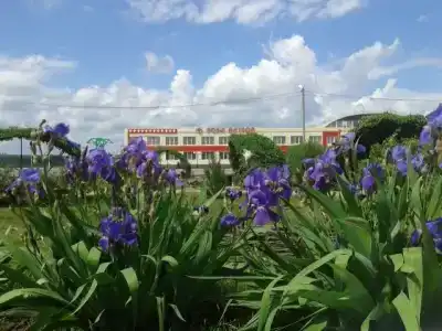 Роза ветров - 3