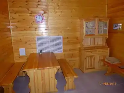 Сосны плюс - 24