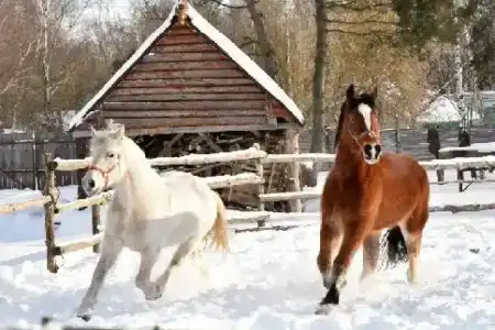 Знаменская Богатырская Застава - 5