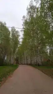 Санаторий им Аксакова МЗ РФ - 55