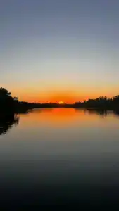 Роза Ветров - 13