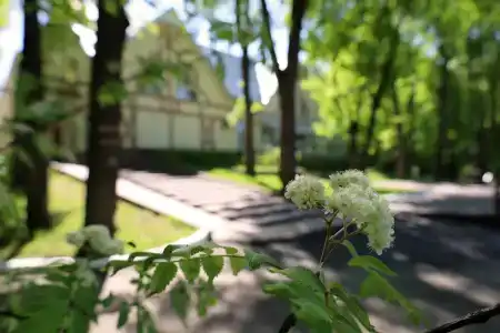 Дубрава - 38
