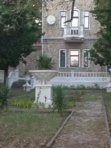 Бетта - 42