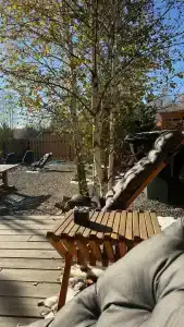 ZastavaVillage - 16