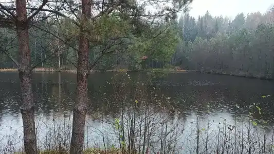 Сечуга - 26