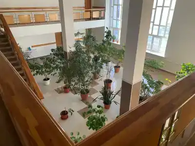 Сона - 4