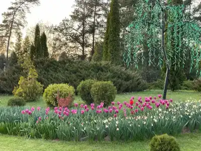 Медикал Спа Резорт Альфа Радон - 17