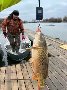 ПЛЕСъ - 25