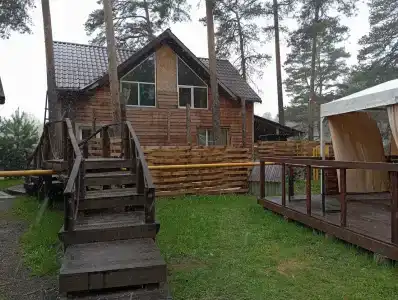 Magic Wood - 0