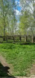 Отрадная - 25