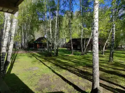 Солнечная Поляна - 41