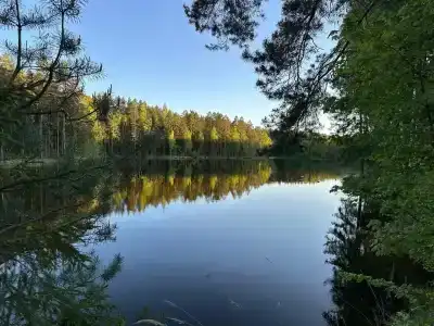 Железинка - 19