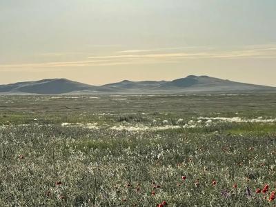 Усадьба Дивноморье - 31