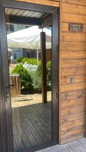 Горгиппия - 22