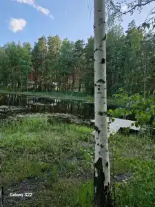Лесная - 19