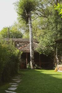 Eco Garden - 29