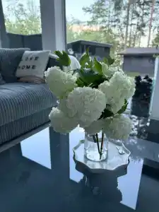 Sky House - 33