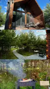 Forest camp - 9