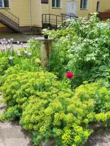 Кристалл - 34