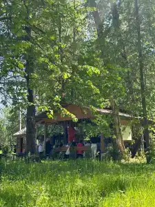 Подберёзовик - 21