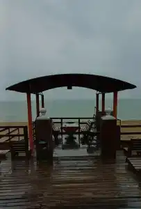 Атлант Экзотик - 95