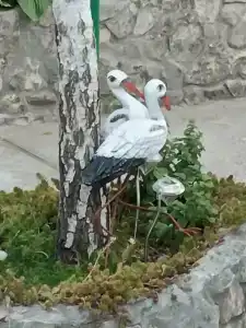 У Галины - 41