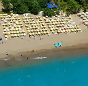 Delphin Side - 6