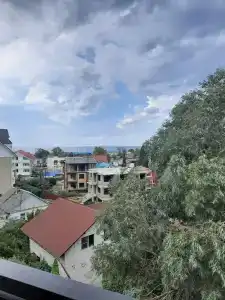 Эвкалипт - 2