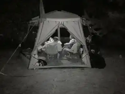 Чистый берег - 47