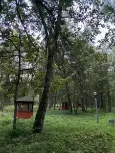 Пансионат Солнечный, комплекс Южный - 37