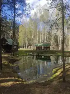 Пышкин луг - 22