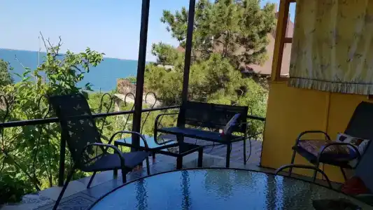 Замок грез - 44